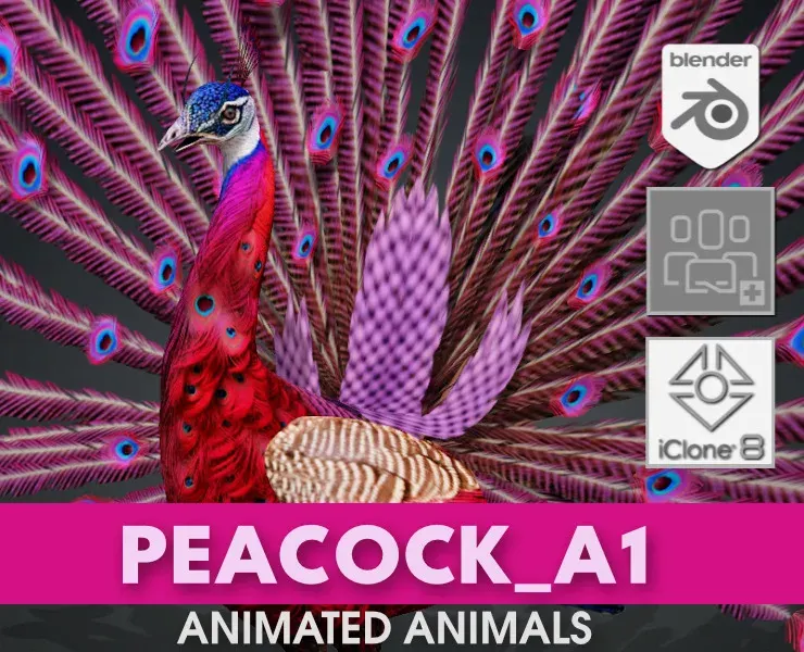 Peacock_A1