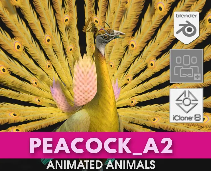 Peacock_A2