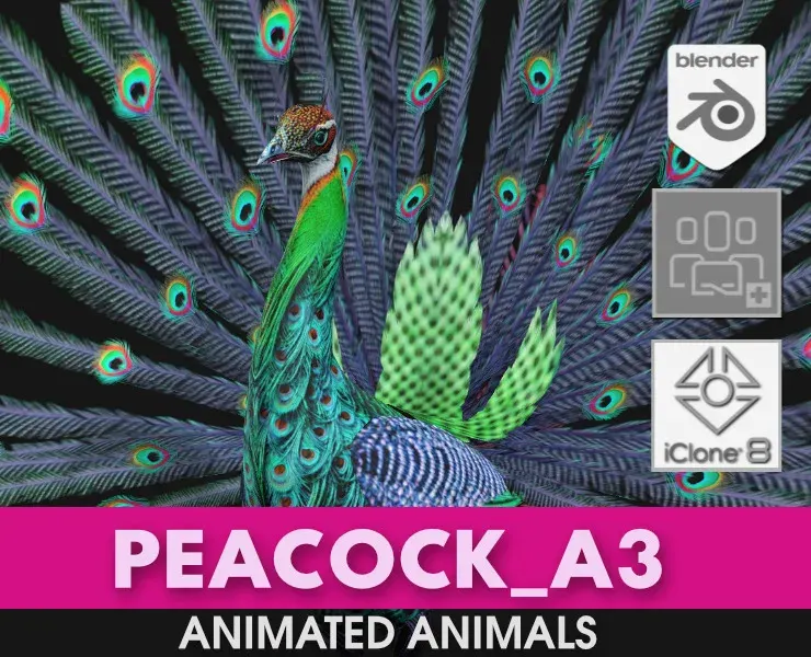 Peacock_A3