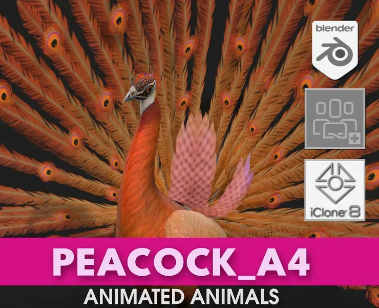 Peacock_A4