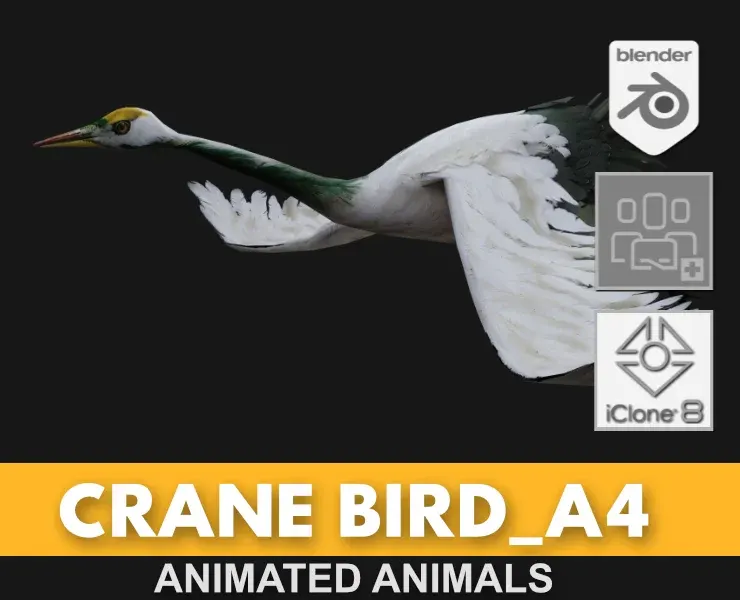 Crane Bird_A4