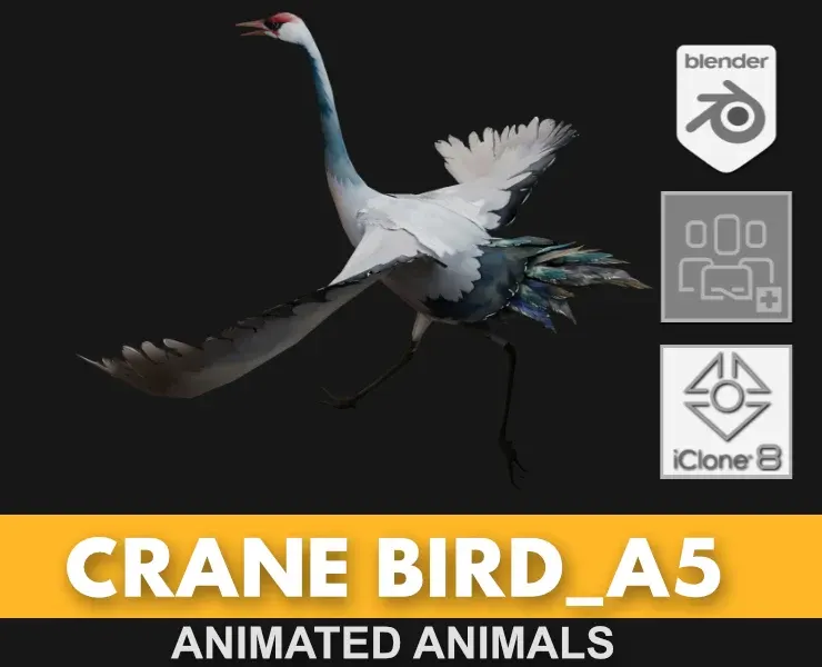 Crane Bird_A5