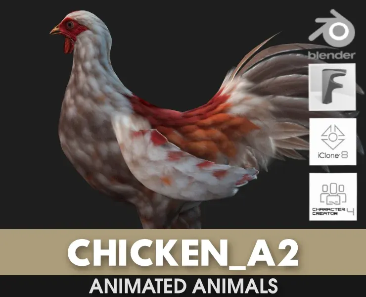 Chicken_A2