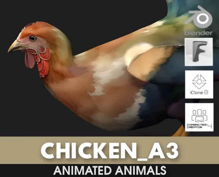 Chicken_A3