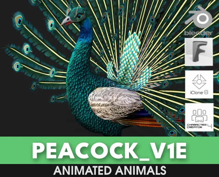 Peacock_V1E