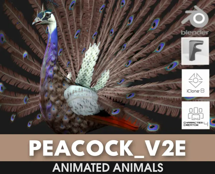 Peacock_V2E