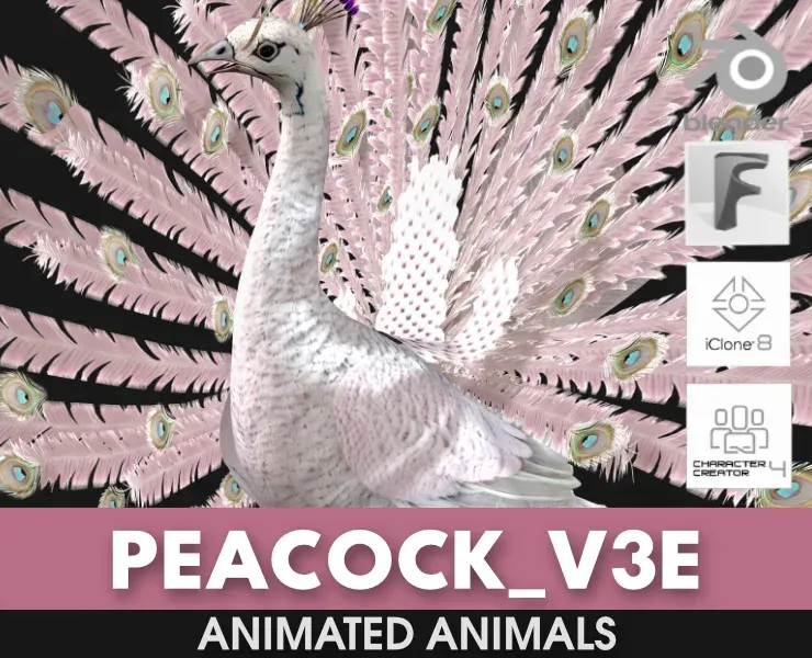 Peacock_V3E