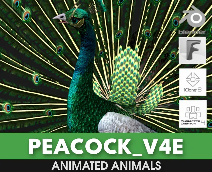 Peacock_V4E