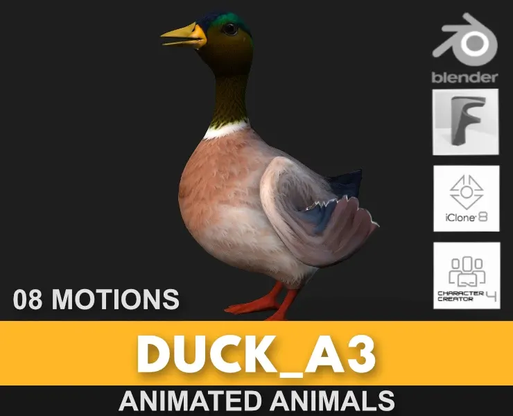 Duck_A3