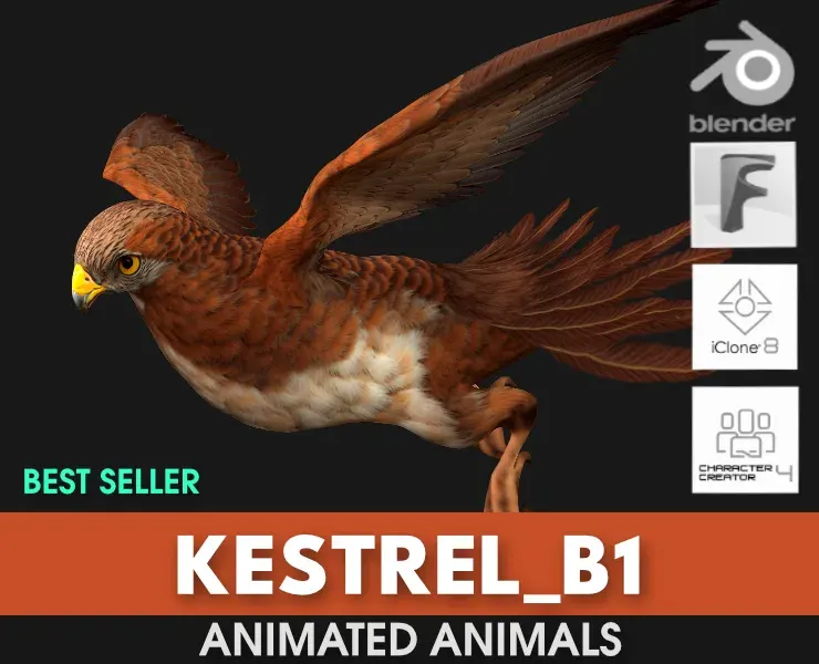 Kestrel_B1