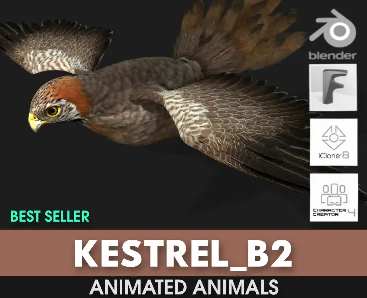 Kestrel_B2