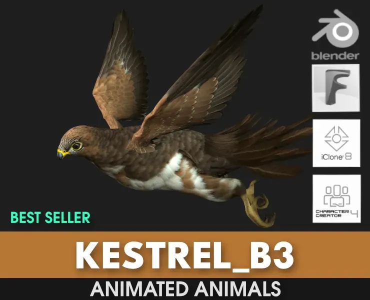 Kestrel_B3