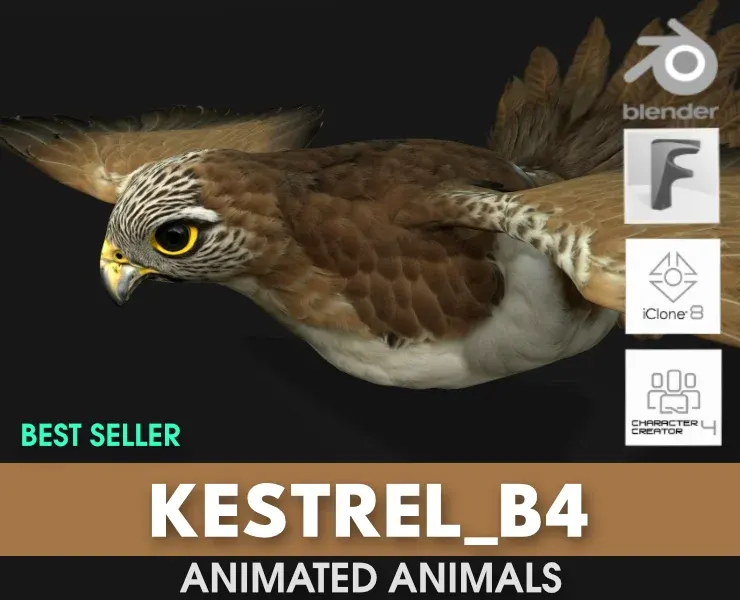 Kestrel_B4