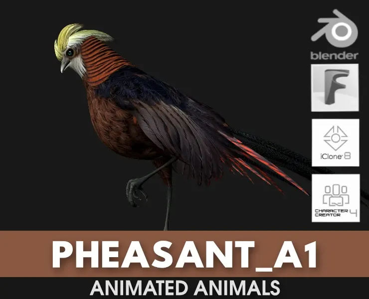 Pheasant_A1