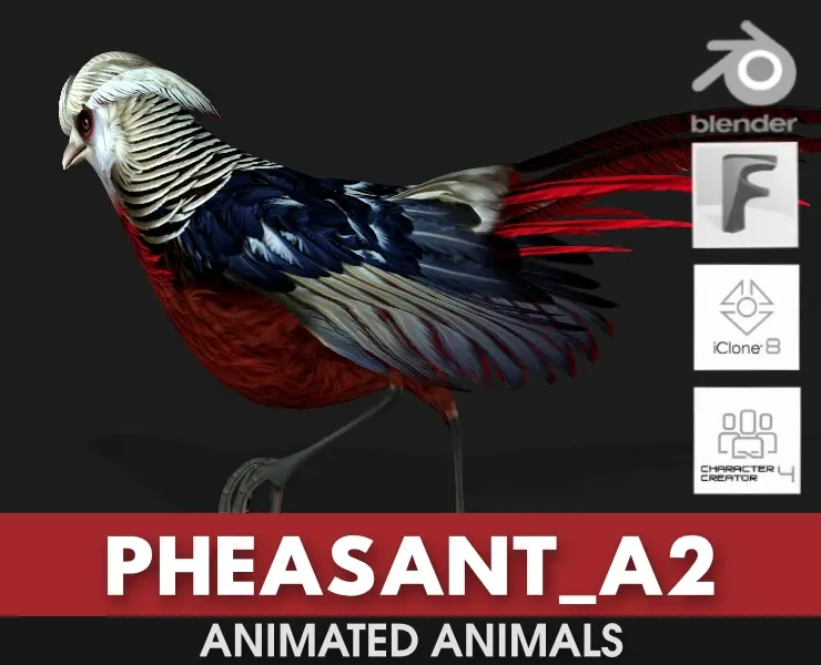 Pheasant_A2