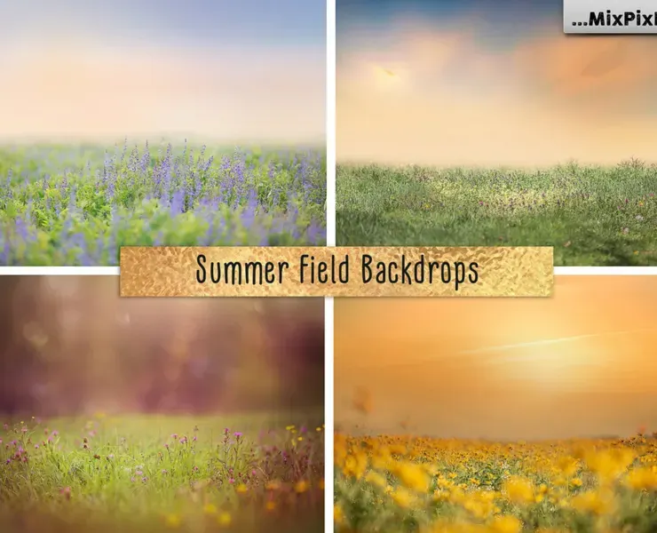 Summer Field Backdrops