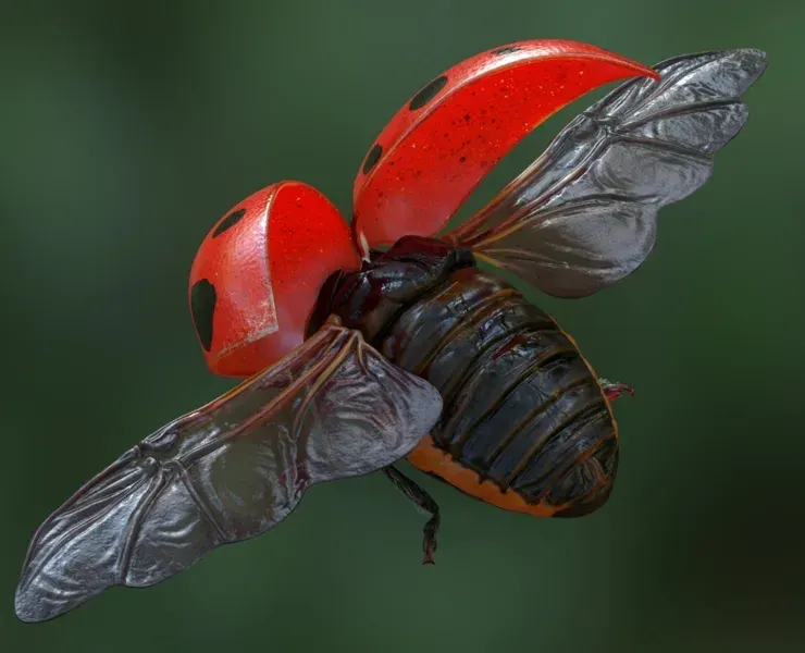 Hyper-realistic Ladybug Rig