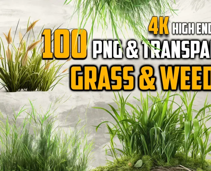 100 Grass and Weeds Images (PNG & Transparent Files)-4K- High Quality