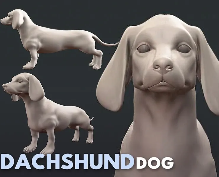 Dachshund Dog - Topology + UV Map