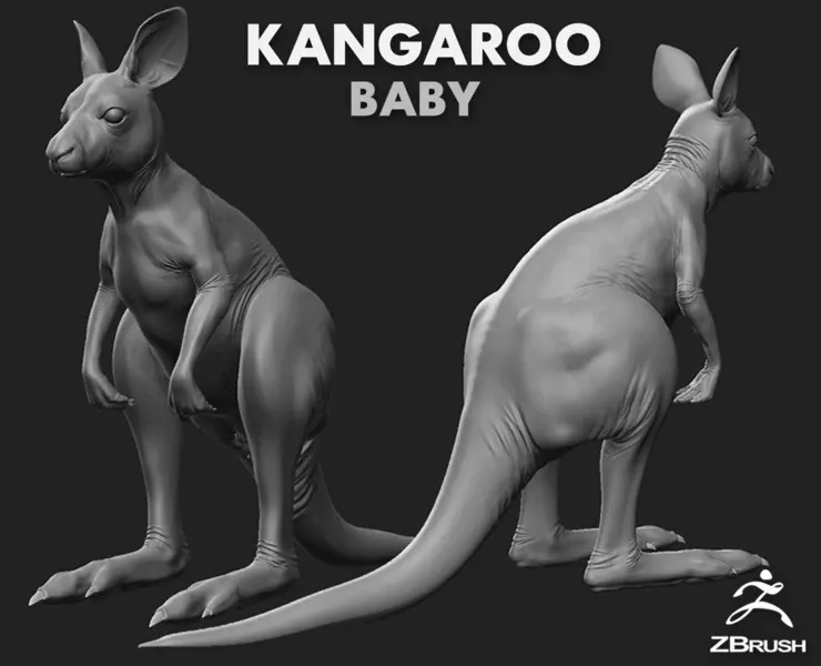 Kangaroo Baby - Topology + UV Map