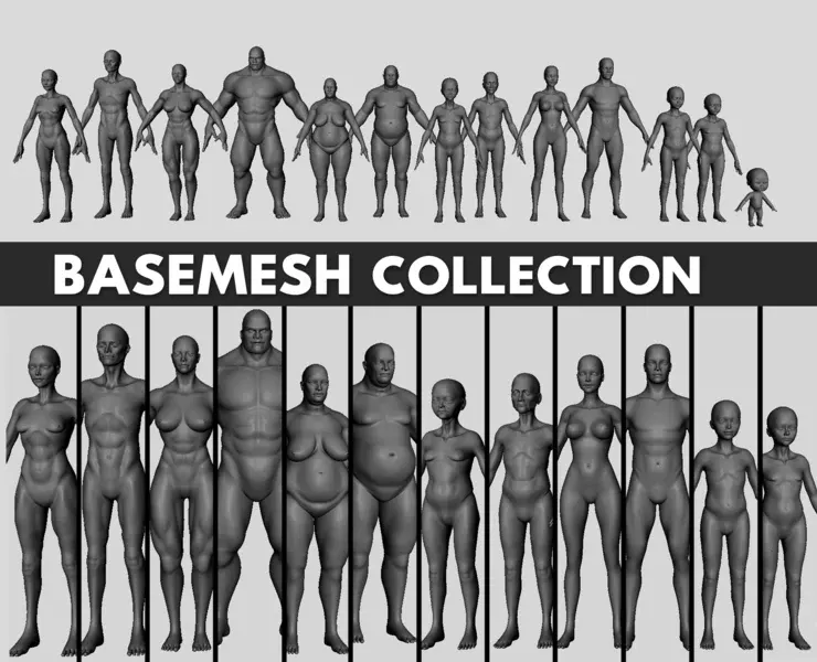 BaseMesh Collection Anatomy - Topology + UV