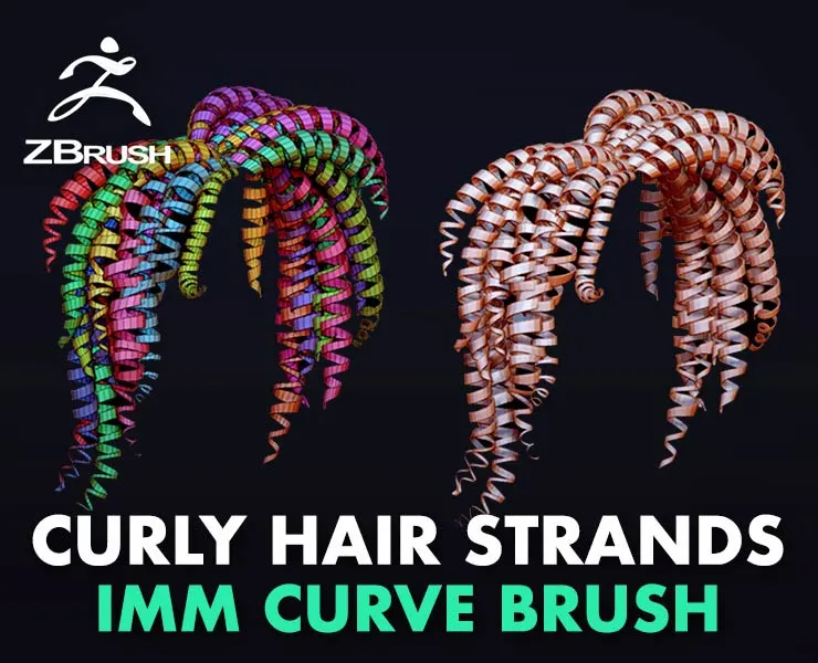 Curly Hair Strands - IMM Curve Brush