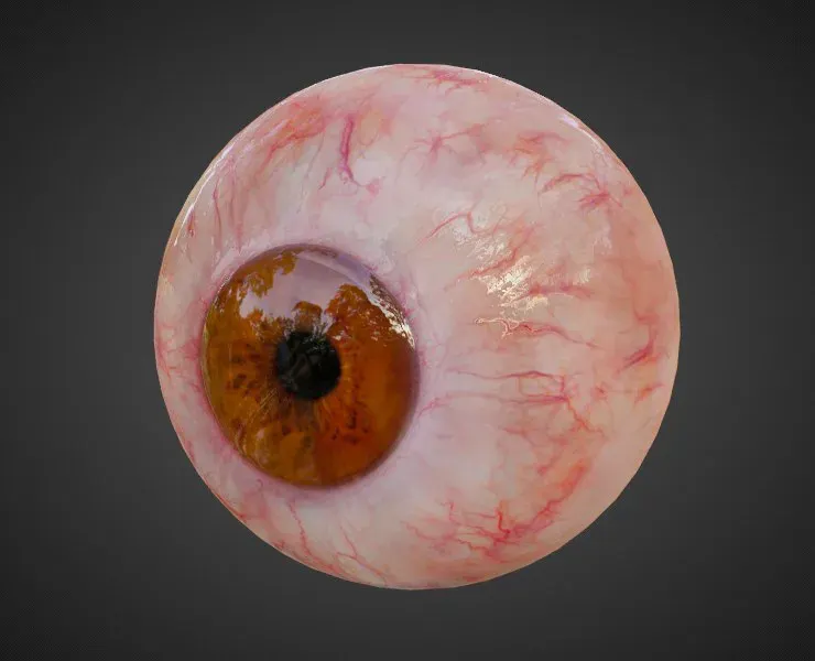 3D Human Eye - animated!