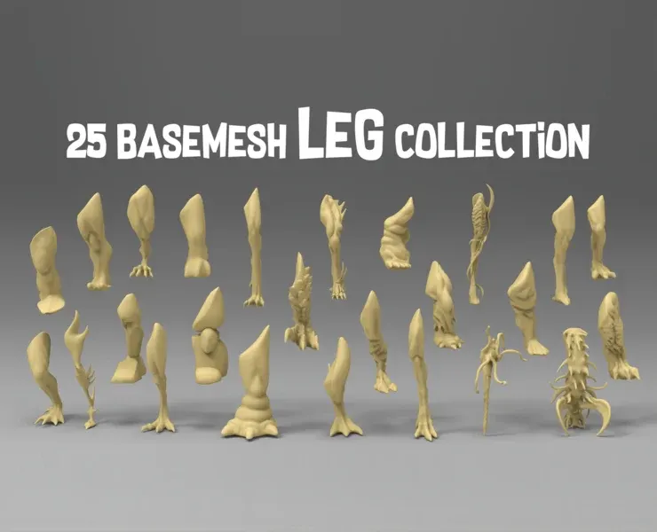 25 basemesh leg collection