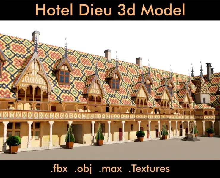 Hotel Dieu- 3d Model