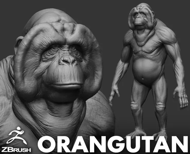 Orangutan - Topology + UV Map