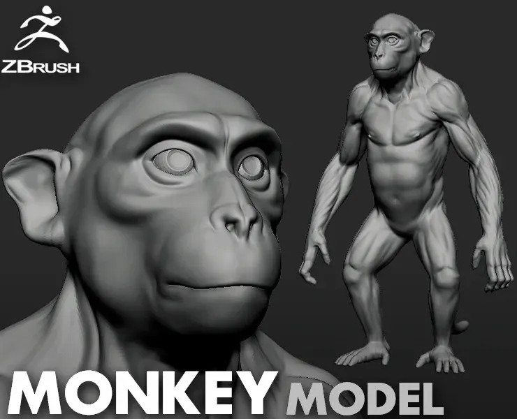 Monkey - Topology + UV Map