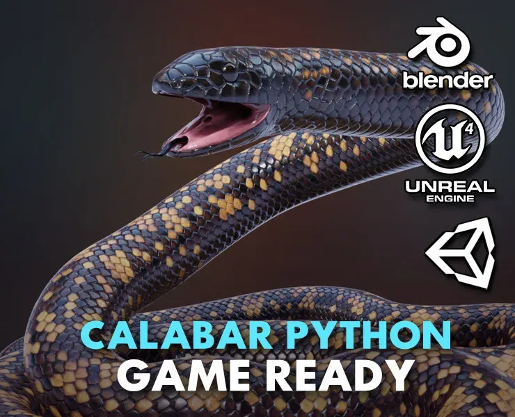 Calabar Python - Animated