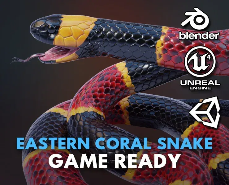 Eastern Coral Snake - Animated