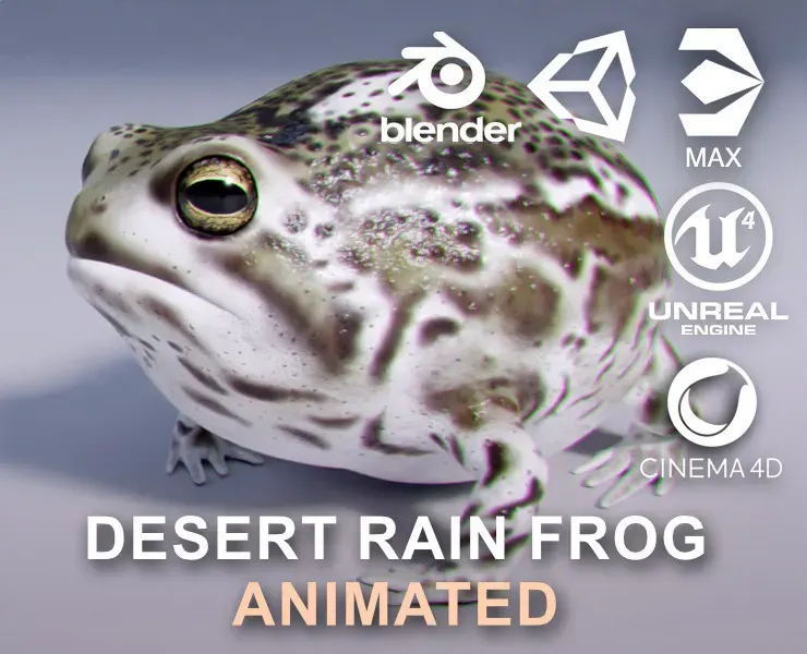 Desert Rain Frog - Animated