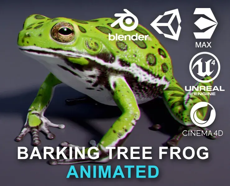 Barking Tree Frog - Animated