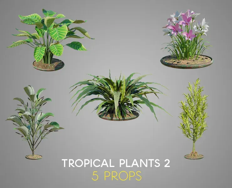 Tropical Plants 2 PACK