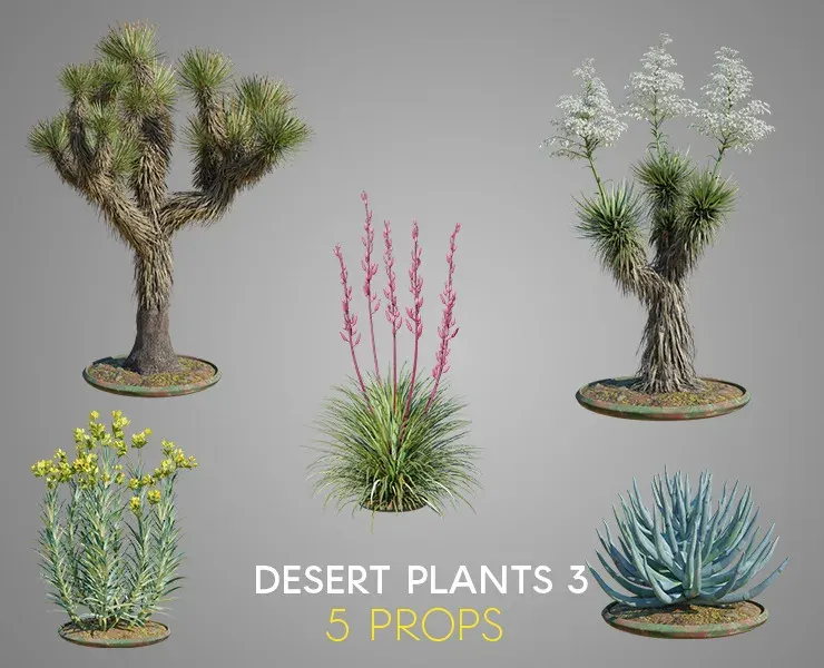 Desert Plants 3 PACK