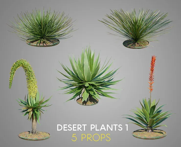 Desert Plants 1 PACK