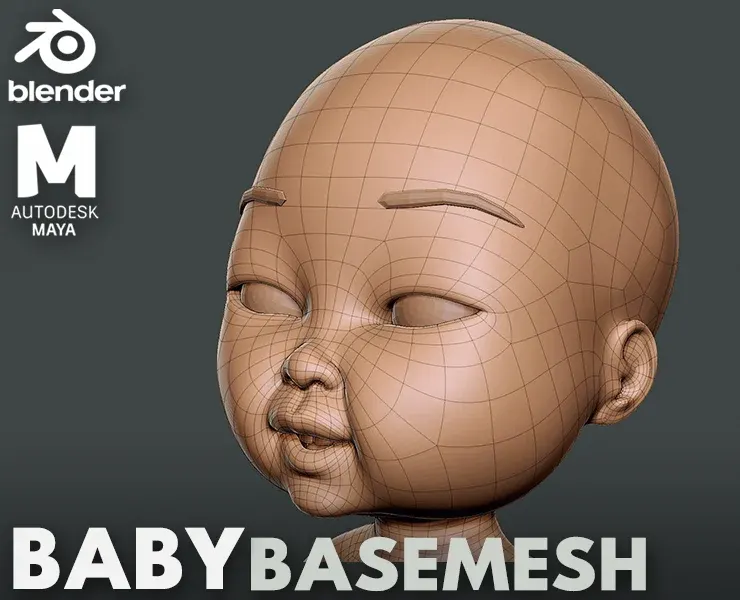 Blender- Baby Anatomy BaseMesh - Topology + UV Map