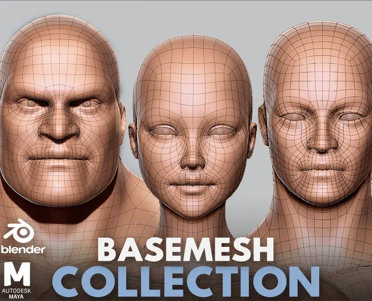 Blender - BaseMesh Anatomy Collection - Topology + UV Map