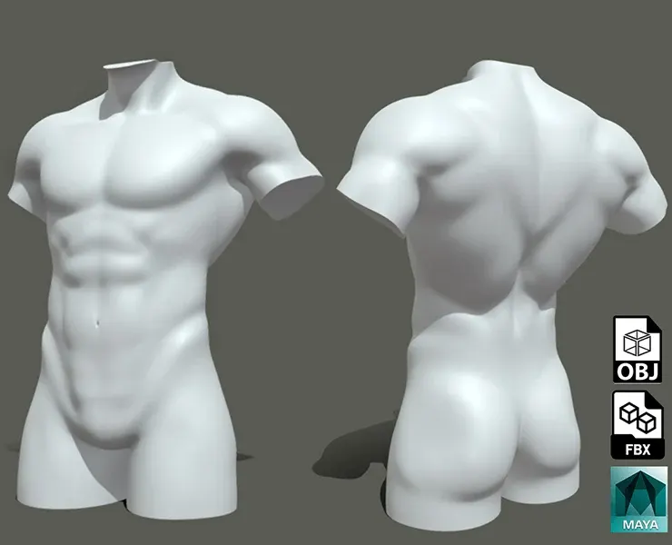 Male Torso BaseMesh - Topology + UV Map