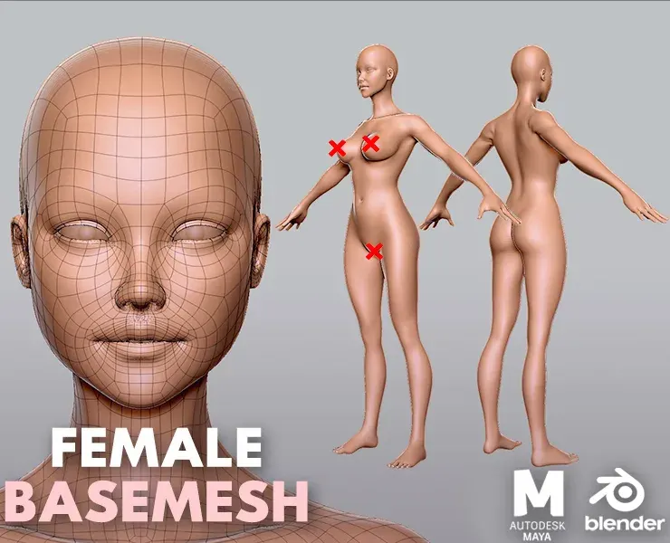 Female BaseMesh - Topology + UV Map