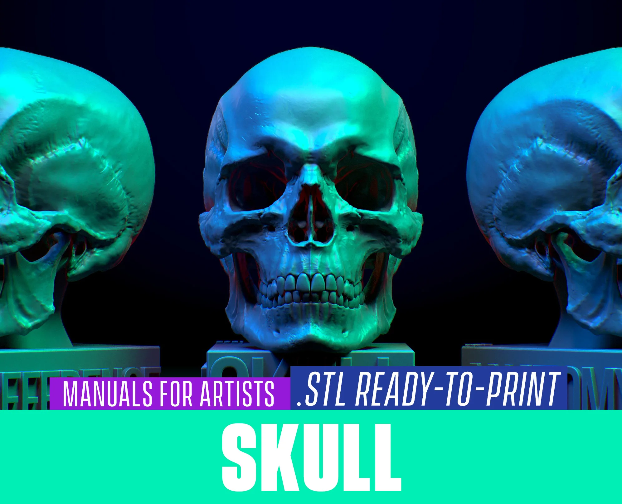 Skull for 3d printing. STL