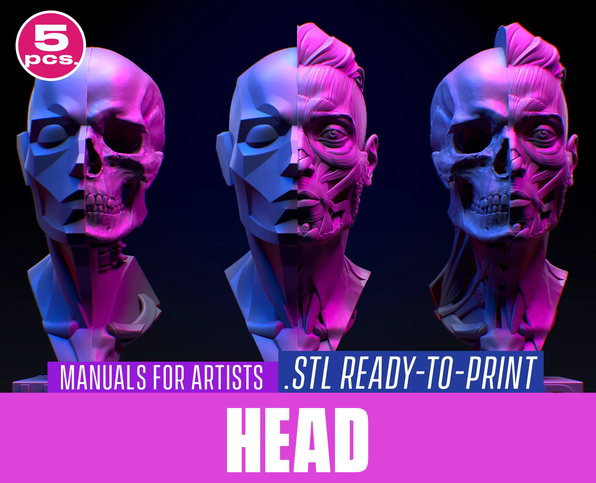 Head. Facial anatomy for 3d printing. STL