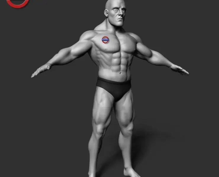 cartoon stylized male body v1 zbrush highpoly