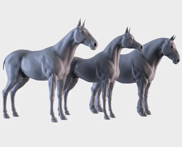 Three Horse Breeds