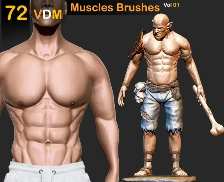 72 VDM Muscles Brushes_Vol 01