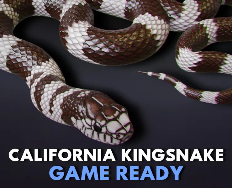 California Kingsnake - Animated