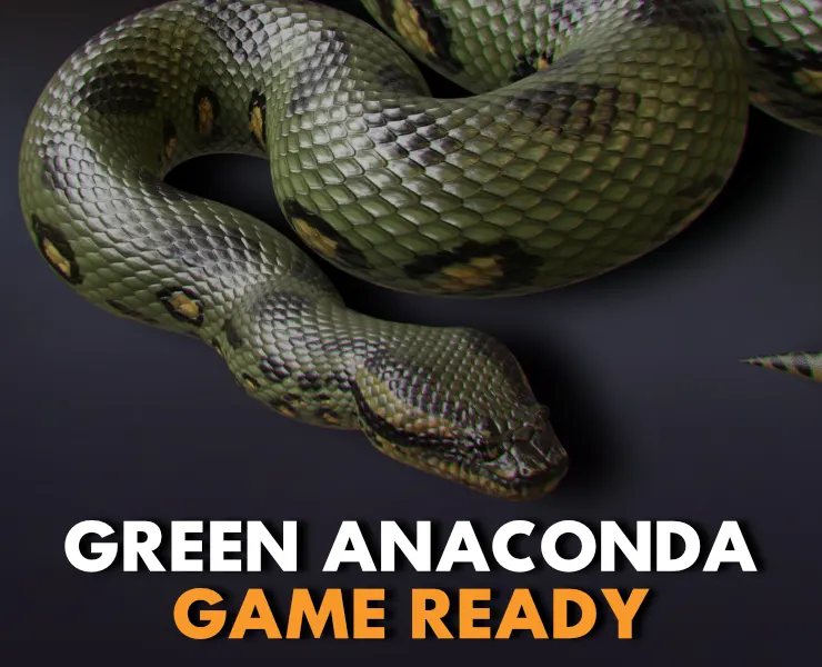 Green Anaconda - Animated