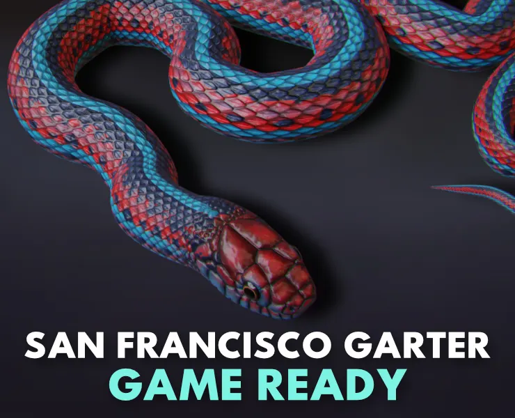 San Francisco Garter Snake - Animated